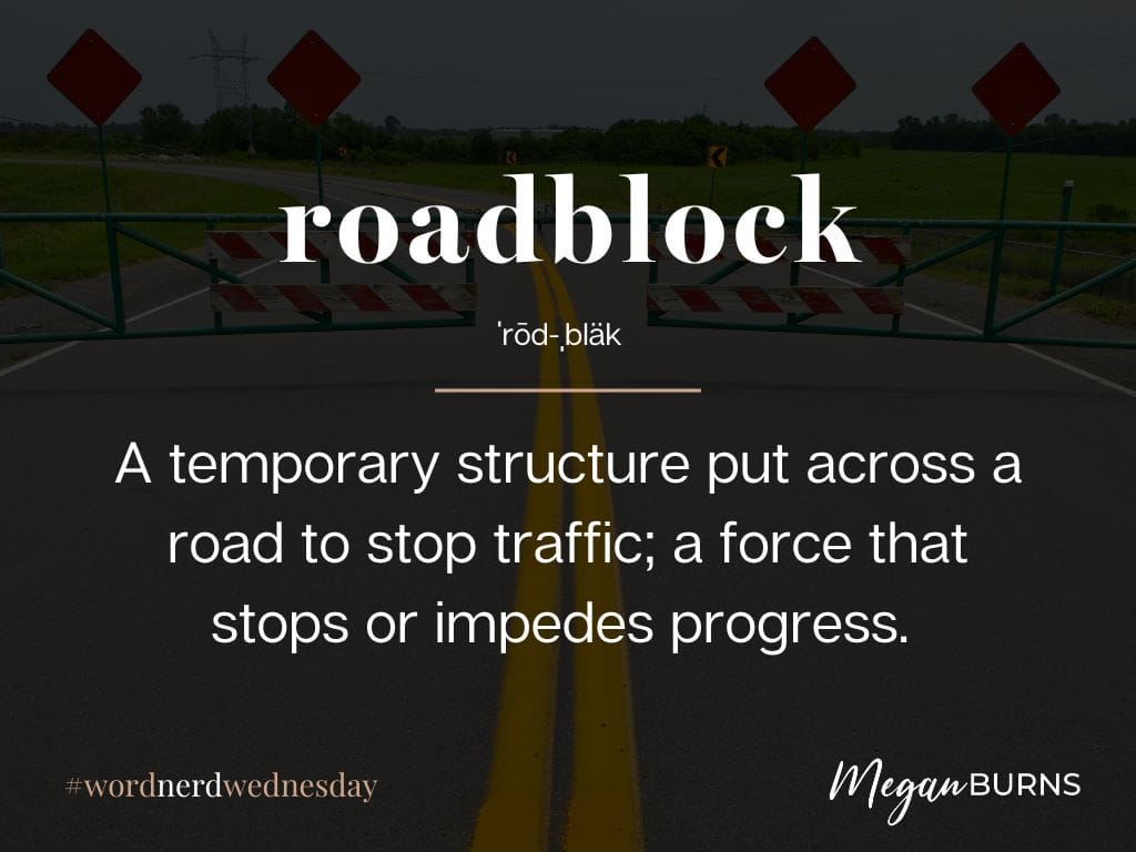 WNW-Roadblock-04.10.2024